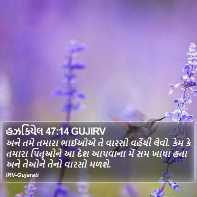 હઝકિયેલ 47:14 GUJIRV Bible Verse Image