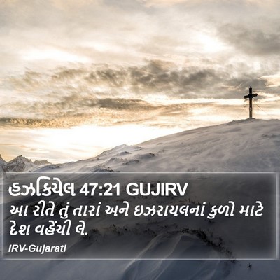 હઝકિયેલ 47:21 GUJIRV Bible Verse Image