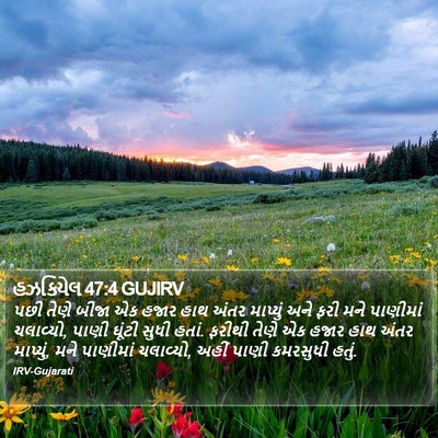 હઝકિયેલ 47:4 GUJIRV Bible Verse Image