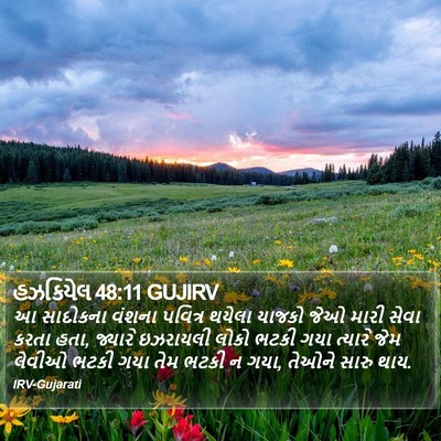હઝકિયેલ 48:11 GUJIRV Bible Verse Image