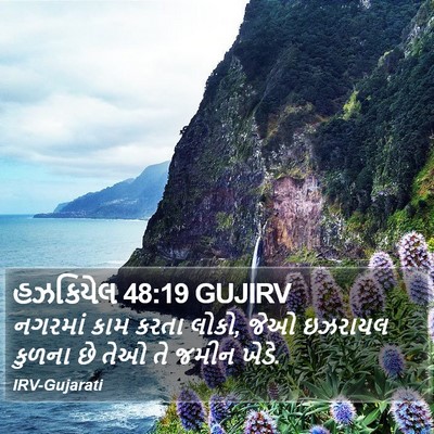 હઝકિયેલ 48:19 GUJIRV Bible Verse Image
