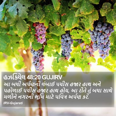 હઝકિયેલ 48:20 GUJIRV Bible Verse Image