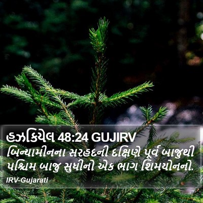 હઝકિયેલ 48:24 GUJIRV Bible Verse Image
