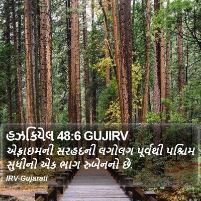 હઝકિયેલ 48:6 GUJIRV Bible Verse Image