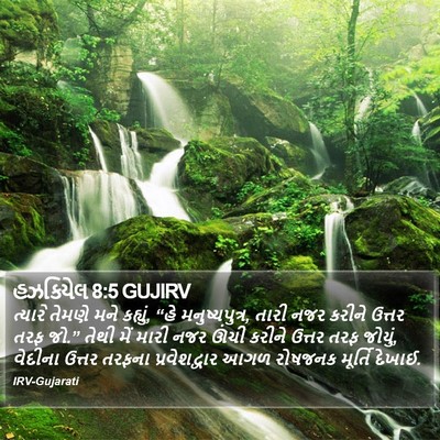 હઝકિયેલ 8:5 GUJIRV Bible Verse Image