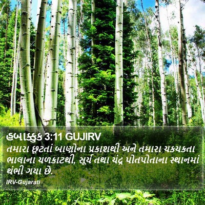 હબાક્કુક 3:11 GUJIRV Bible Verse Image