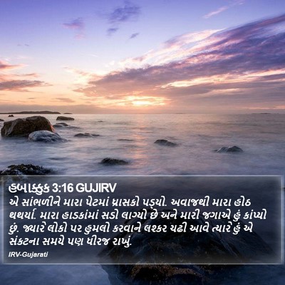 હબાક્કુક 3:16 GUJIRV Bible Verse Image