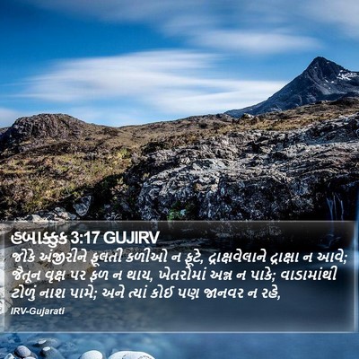 હબાક્કુક 3:17 GUJIRV Bible Verse Image