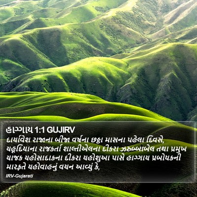 હાગ્ગાય 1:1 GUJIRV Bible Verse Image
