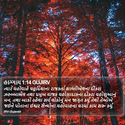 હાગ્ગાય 1:14 GUJIRV Bible Verse Image