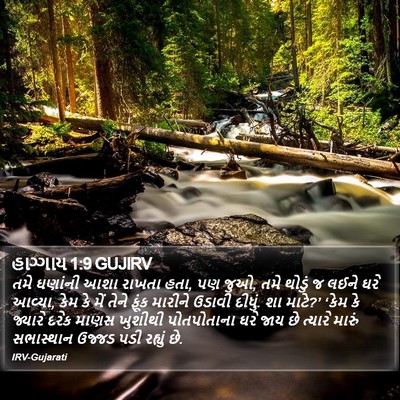 હાગ્ગાય 1:9 GUJIRV Bible Verse Image