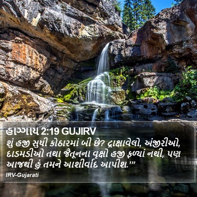 હાગ્ગાય 2:19 GUJIRV Bible Verse Image