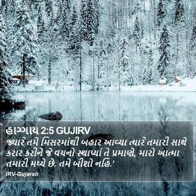 હાગ્ગાય 2:5 GUJIRV Bible Verse Image