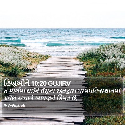 હિબ્રૂઓને 10:20 GUJIRV Bible Verse Image