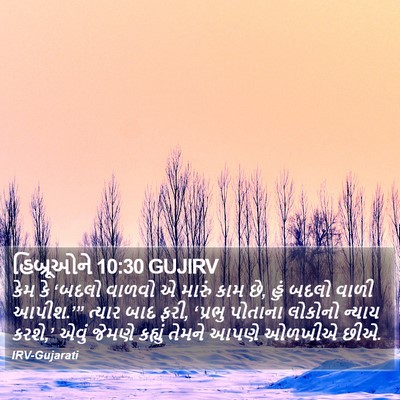 હિબ્રૂઓને 10:30 GUJIRV Bible Verse Image