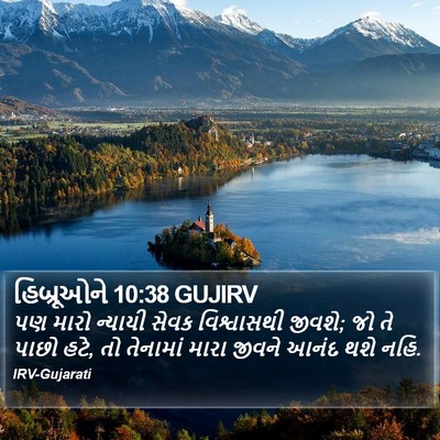 હિબ્રૂઓને 10:38 GUJIRV Bible Verse Image