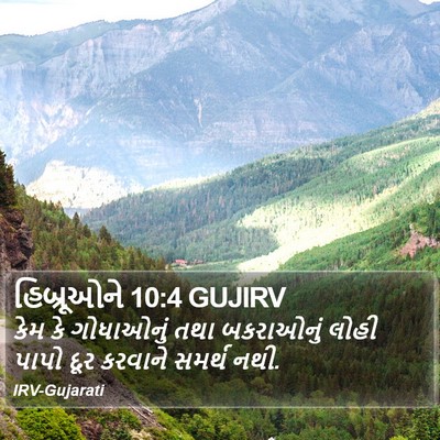હિબ્રૂઓને 10:4 GUJIRV Bible Verse Image