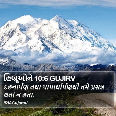 હિબ્રૂઓને 10:6 GUJIRV Bible Verse Image