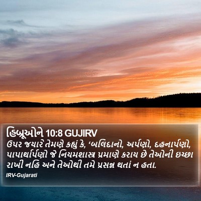 હિબ્રૂઓને 10:8 GUJIRV Bible Verse Image