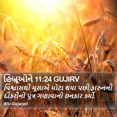 હિબ્રૂઓને 11:24 GUJIRV Bible Verse Image