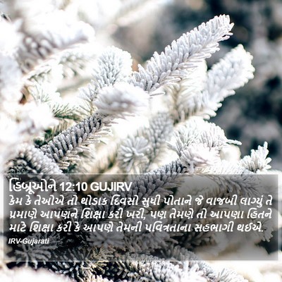 હિબ્રૂઓને 12:10 GUJIRV Bible Verse Image