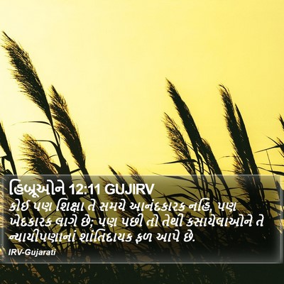 હિબ્રૂઓને 12:11 GUJIRV Bible Verse Image