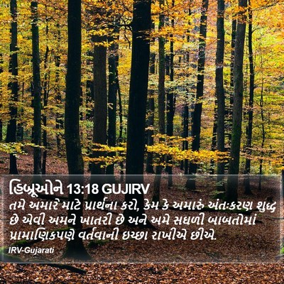 હિબ્રૂઓને 13:18 GUJIRV Bible Verse Image