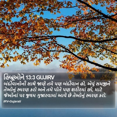 હિબ્રૂઓને 13:3 GUJIRV Bible Verse Image