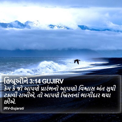 હિબ્રૂઓને 3:14 GUJIRV Bible Verse Image
