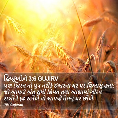 હિબ્રૂઓને 3:6 GUJIRV Bible Verse Image