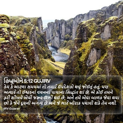 હિબ્રૂઓને 5:12 GUJIRV Bible Verse Image