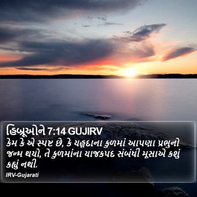 હિબ્રૂઓને 7:14 GUJIRV Bible Verse Image