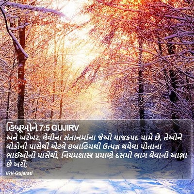 હિબ્રૂઓને 7:5 GUJIRV Bible Verse Image