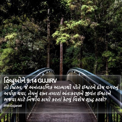 હિબ્રૂઓને 9:14 GUJIRV Bible Verse Image