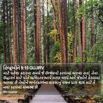 હિબ્રૂઓને 9:15 GUJIRV Bible Verse Image