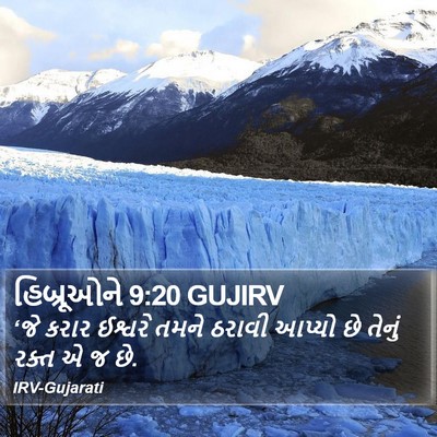 હિબ્રૂઓને 9:20 GUJIRV Bible Verse Image