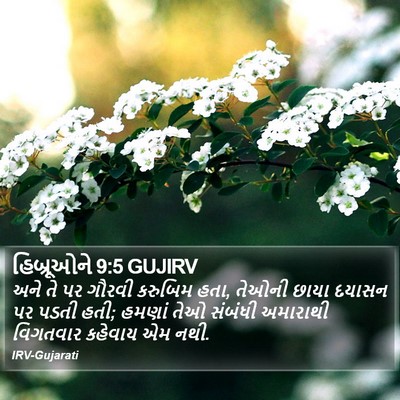 હિબ્રૂઓને 9:5 GUJIRV Bible Verse Image