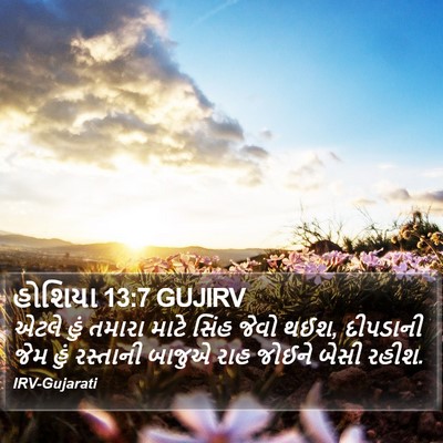 હોશિયા 13:7 GUJIRV Bible Verse Image
