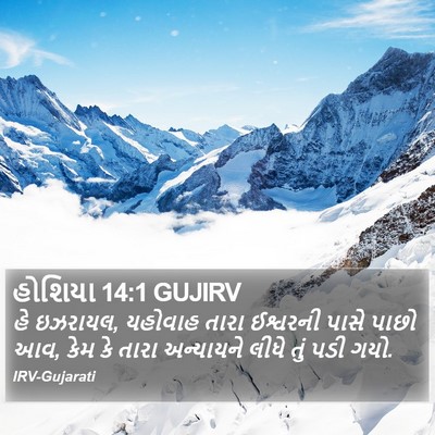 હોશિયા 14:1 GUJIRV Bible Verse Image