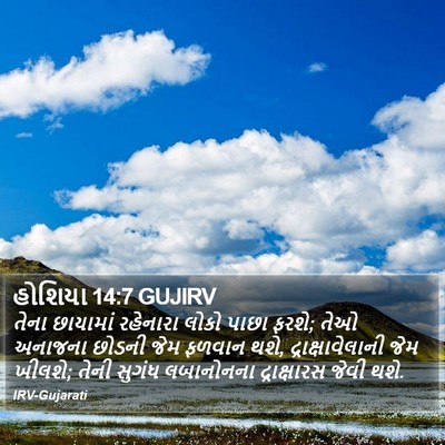 હોશિયા 14:7 GUJIRV Bible Verse Image