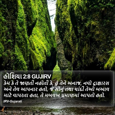 હોશિયા 2:8 GUJIRV Bible Verse Image