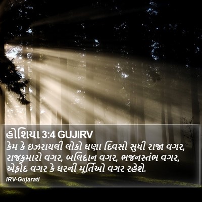 હોશિયા 3:4 GUJIRV Bible Verse Image
