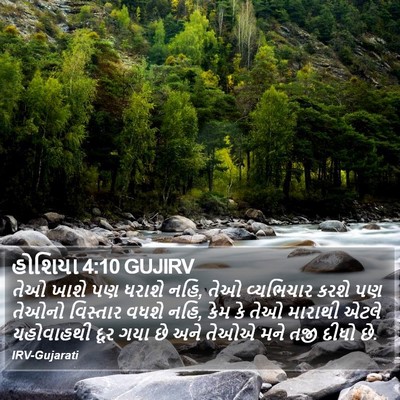 હોશિયા 4:10 GUJIRV Bible Verse Image
