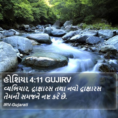 હોશિયા 4:11 GUJIRV Bible Verse Image
