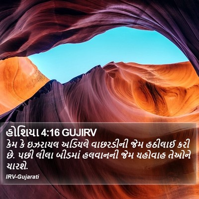 હોશિયા 4:16 GUJIRV Bible Verse Image