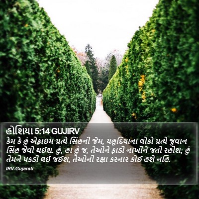 હોશિયા 5:14 GUJIRV Bible Verse Image