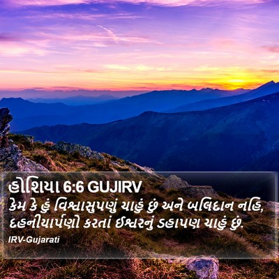 હોશિયા 6:6 GUJIRV Bible Verse Image