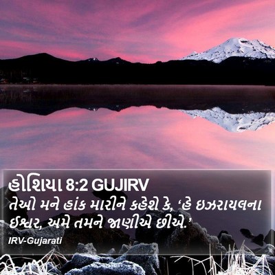 હોશિયા 8:2 GUJIRV Bible Verse Image
