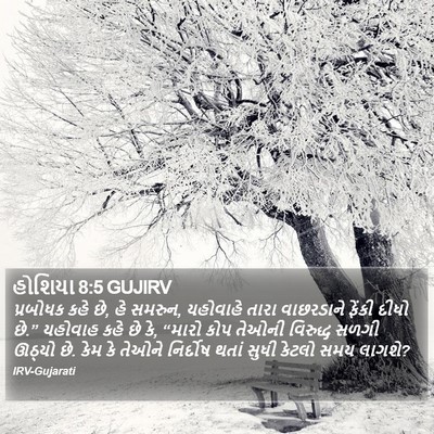 હોશિયા 8:5 GUJIRV Bible Verse Image