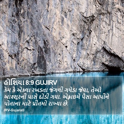 હોશિયા 8:9 GUJIRV Bible Verse Image